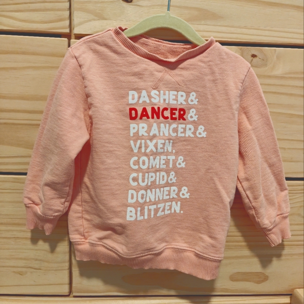 Minimalist Christmas Reindeer Sweatshirt 2T